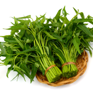 kangkung